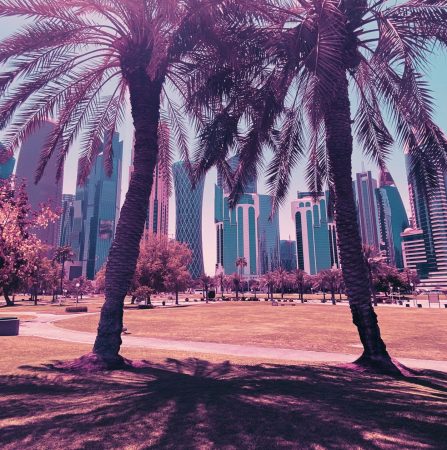 park-and-doha-skyline-visit-qatar-explore-qatar-2022-08-01-03-09-11-utc-ai0